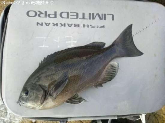 �����᥸��