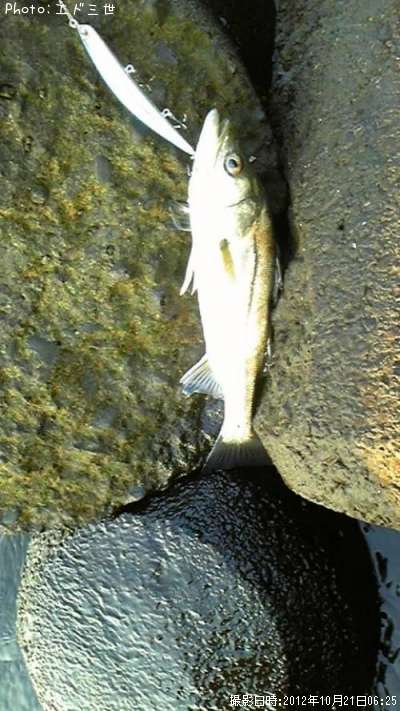 �����Х�