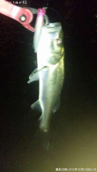 �����Х�