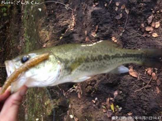 �֥�å��Х�