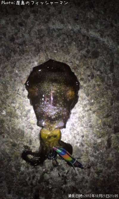 �����ꥤ��