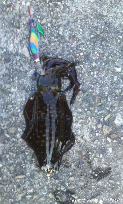 �����ꥤ��