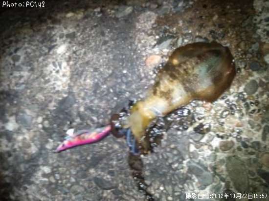 �����ꥤ��