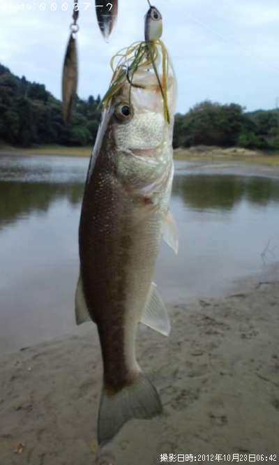 �֥�å��Х�