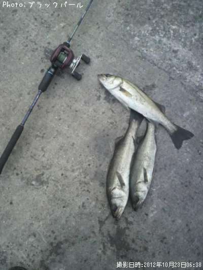 �����Х�