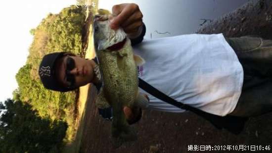 �֥�å��Х�