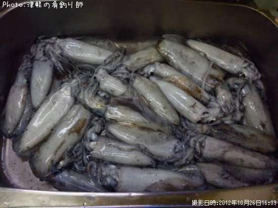 �����ꥤ��