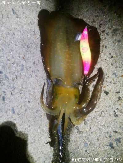 �����ꥤ��