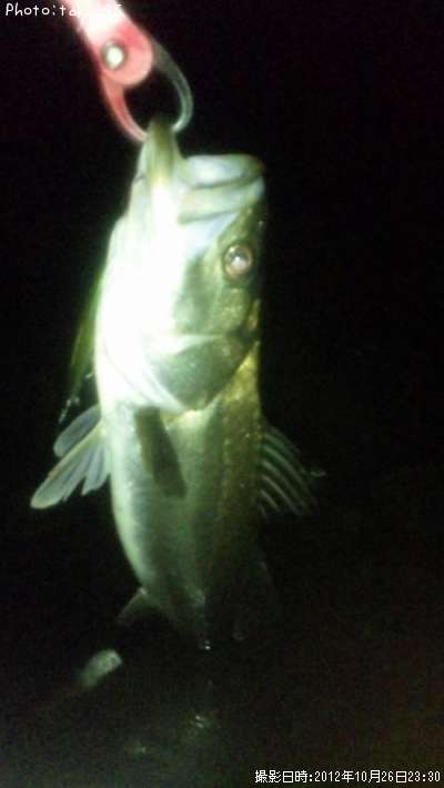 �����Х�