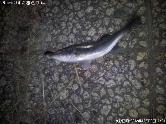 �����Х�