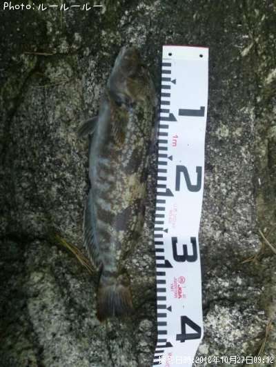 �����ʥ�