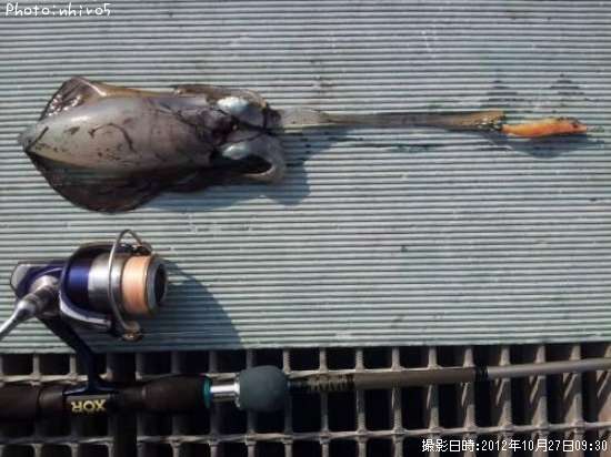 �����ꥤ��