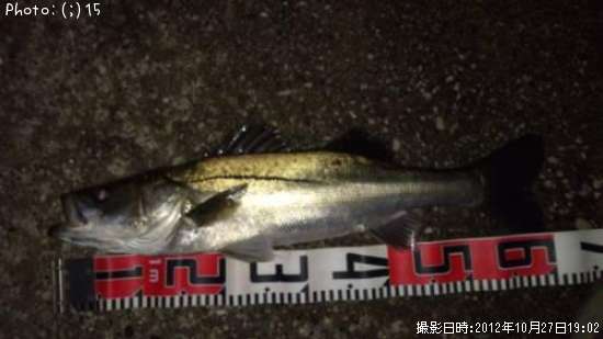 �����Х�