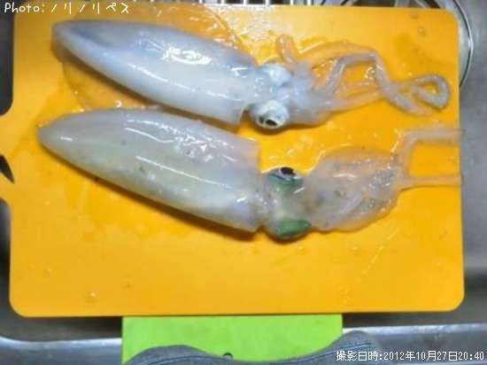 �����ꥤ��