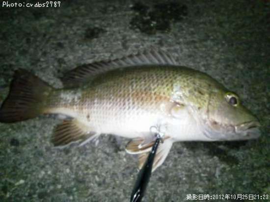 ���ޥե��ե�