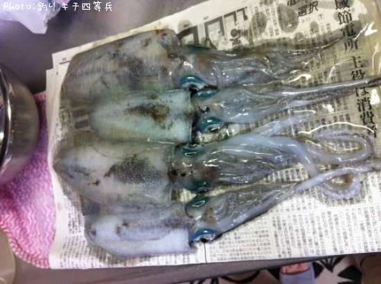 �����ꥤ��