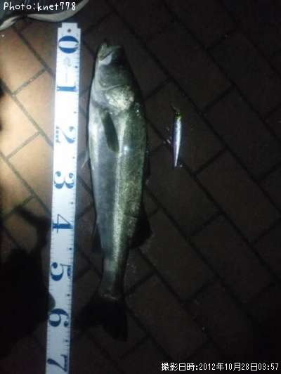 �����Х�