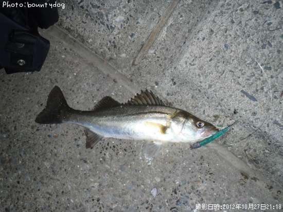 �����Х�