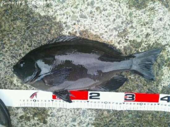 �����᥸��