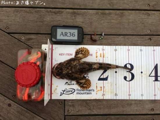 �٥�������