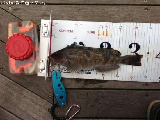 �����ʥ�