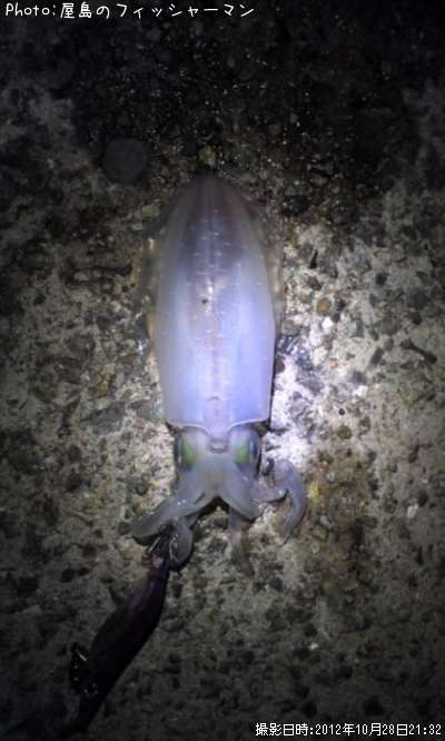 �����ꥤ��