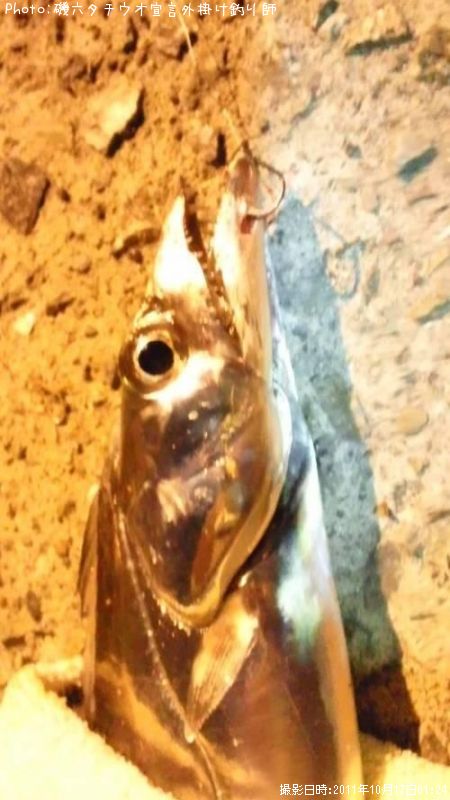 ����������������ݤ����