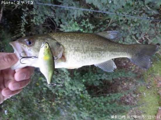 �֥�å��Х�