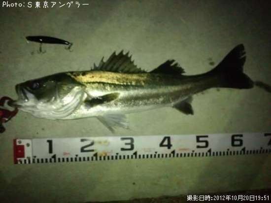 �����Х�