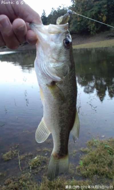 �֥�å��Х�