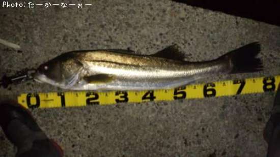 �����Х�