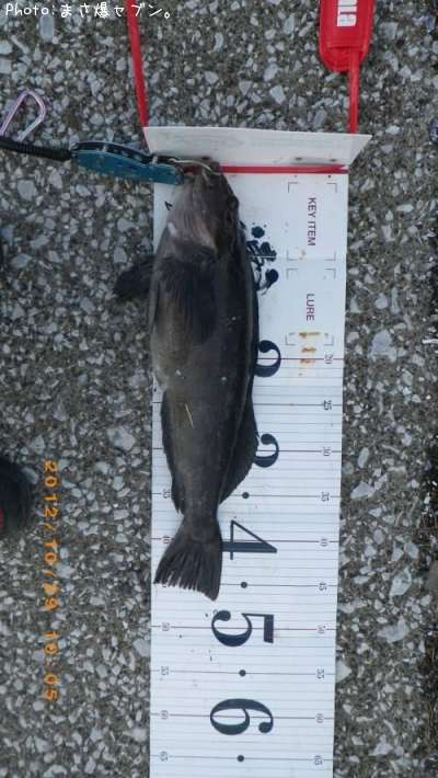 �����ʥ�