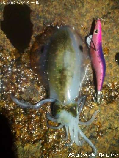 �����ꥤ��