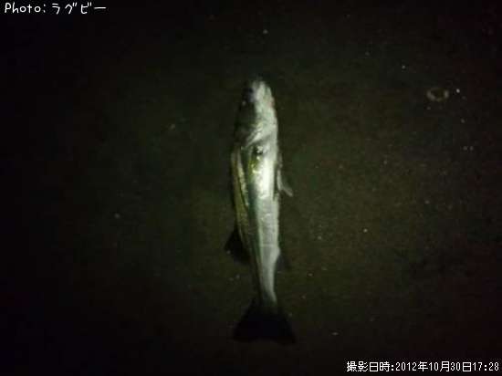 �����Х�