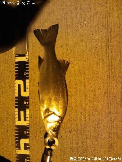 �����Х�