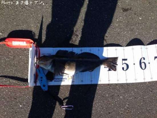 �����ʥ�