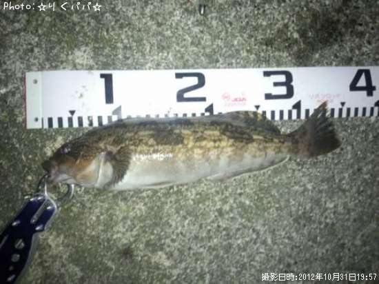 �����ʥ�