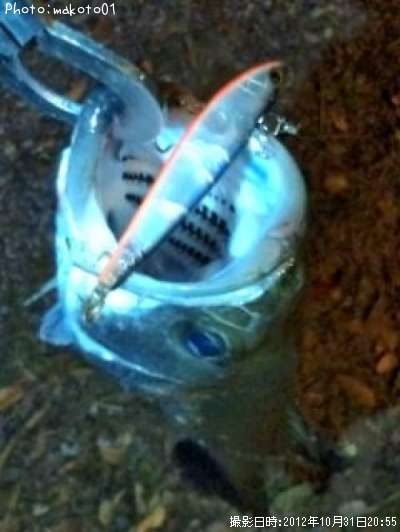 �����Х�