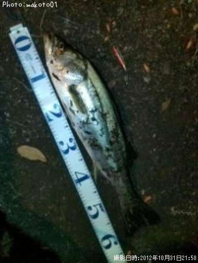 �����Х�