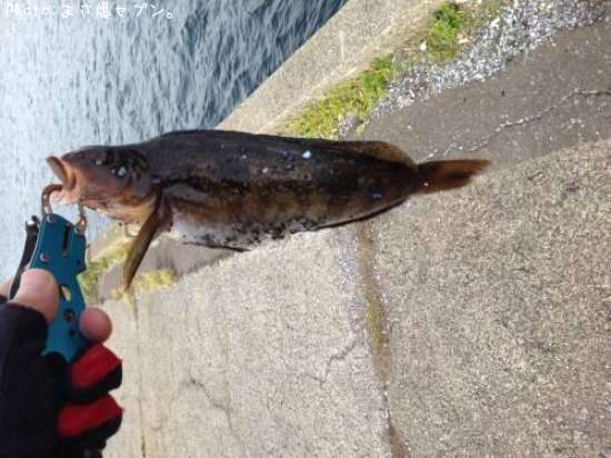 �����ʥ�