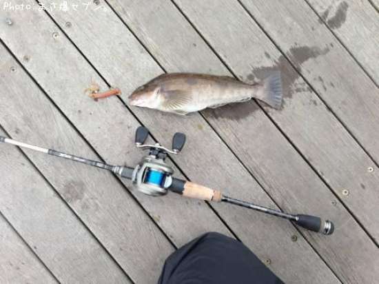 �����ʥ�