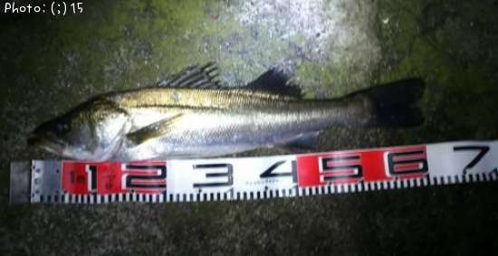 �����Х�