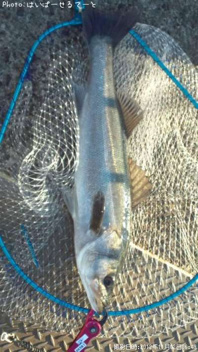 �����Х�