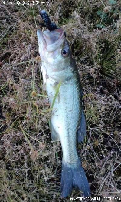 �֥�å��Х�