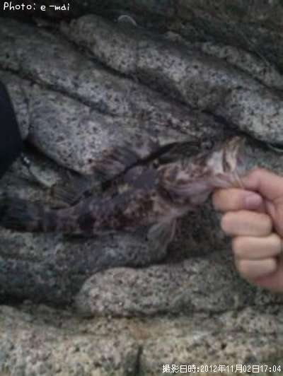 �����Υ���Х�