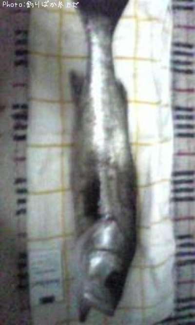 �����Х�