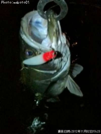 �����Х�