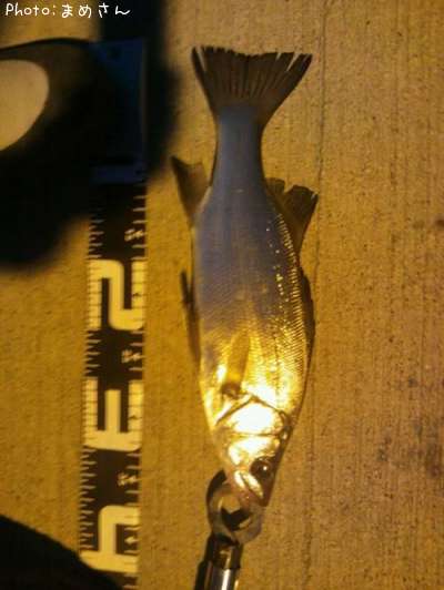 �����Х�