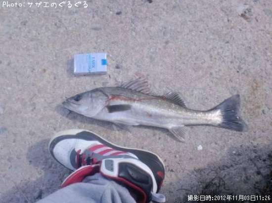 �����Х�