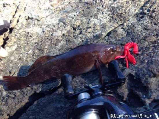 �����ʥ�